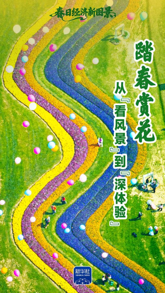 踏春赏花，从“看风景”到“深体验”