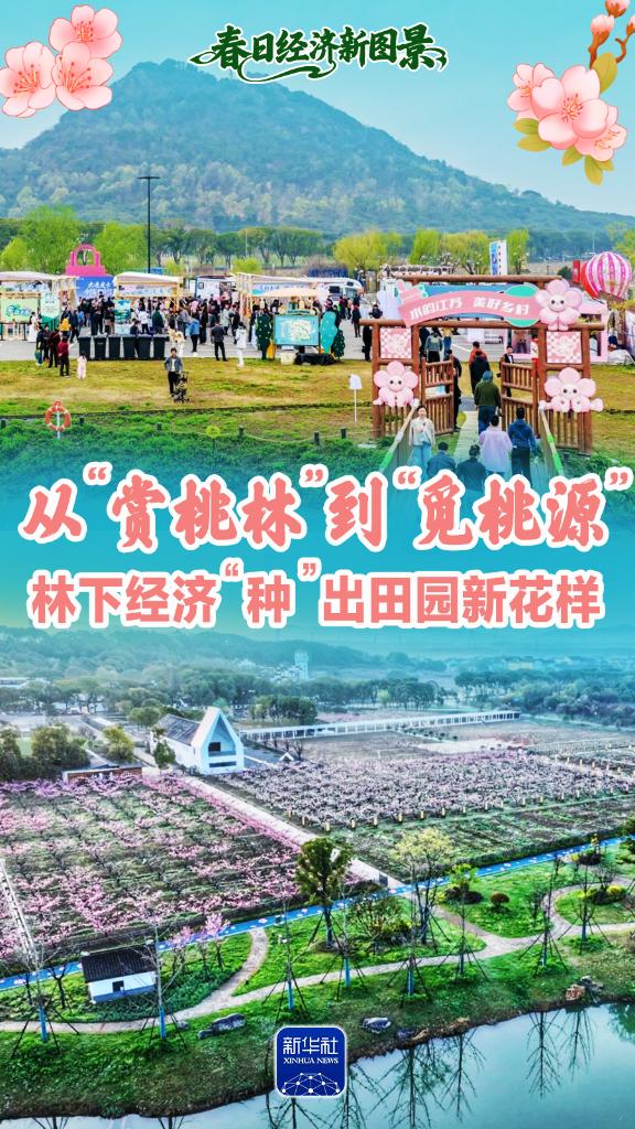 从“赏桃林”到“觅桃源”，林下经济“种”出田园新花样