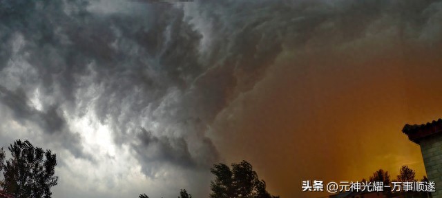 职场像狂风暴雨，婚姻却像娇嫩花朵：别让压力毁了感情