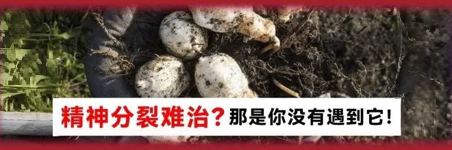 医生提醒：暴瘦减肥法不可取，正确减肥步骤请收好(图5)
