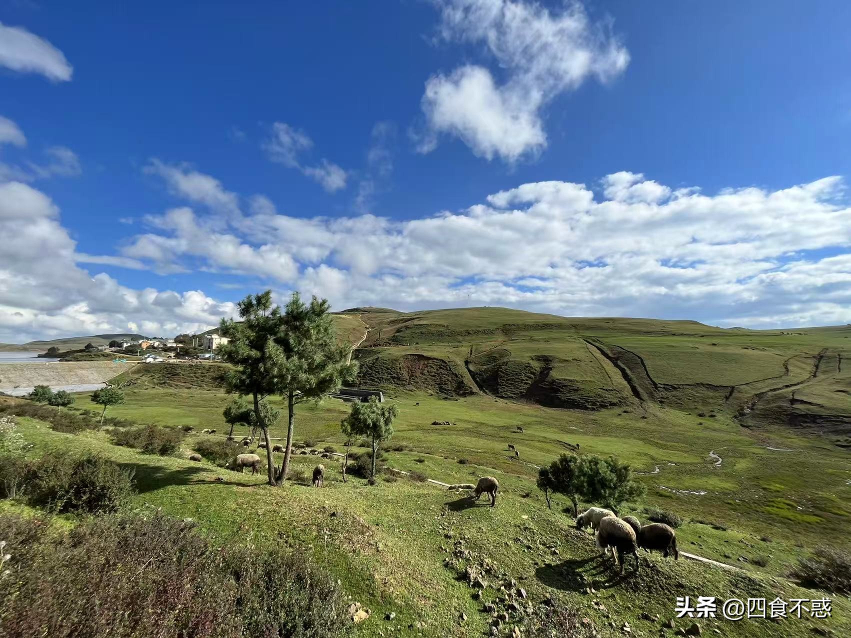 低调的昭通快藏不住了，其貌不扬的美食竟然这么好吃！(图2)