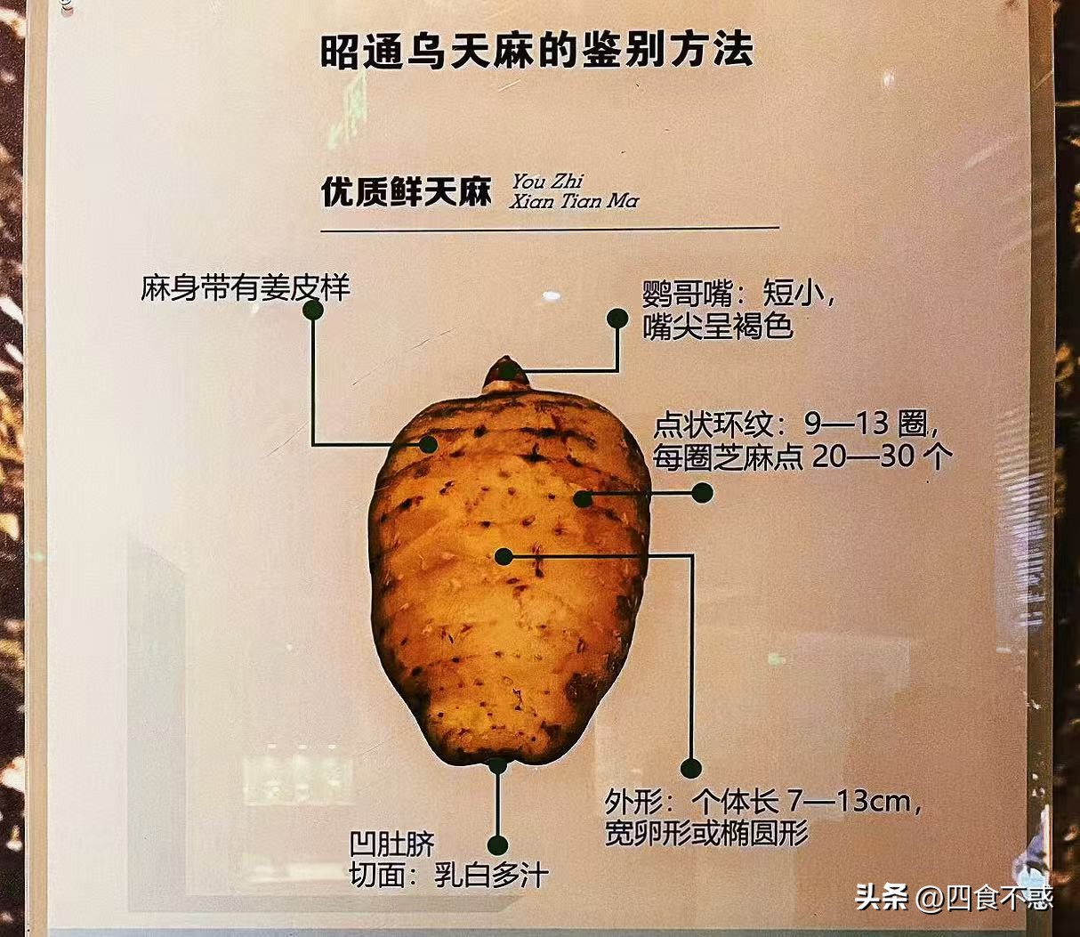 低调的昭通快藏不住了，其貌不扬的美食竟然这么好吃！(图15)