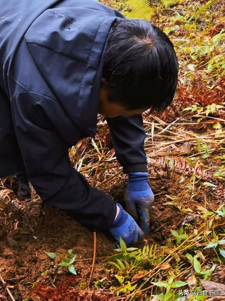 低调的昭通快藏不住了，其貌不扬的美食竟然这么好吃！(图18)