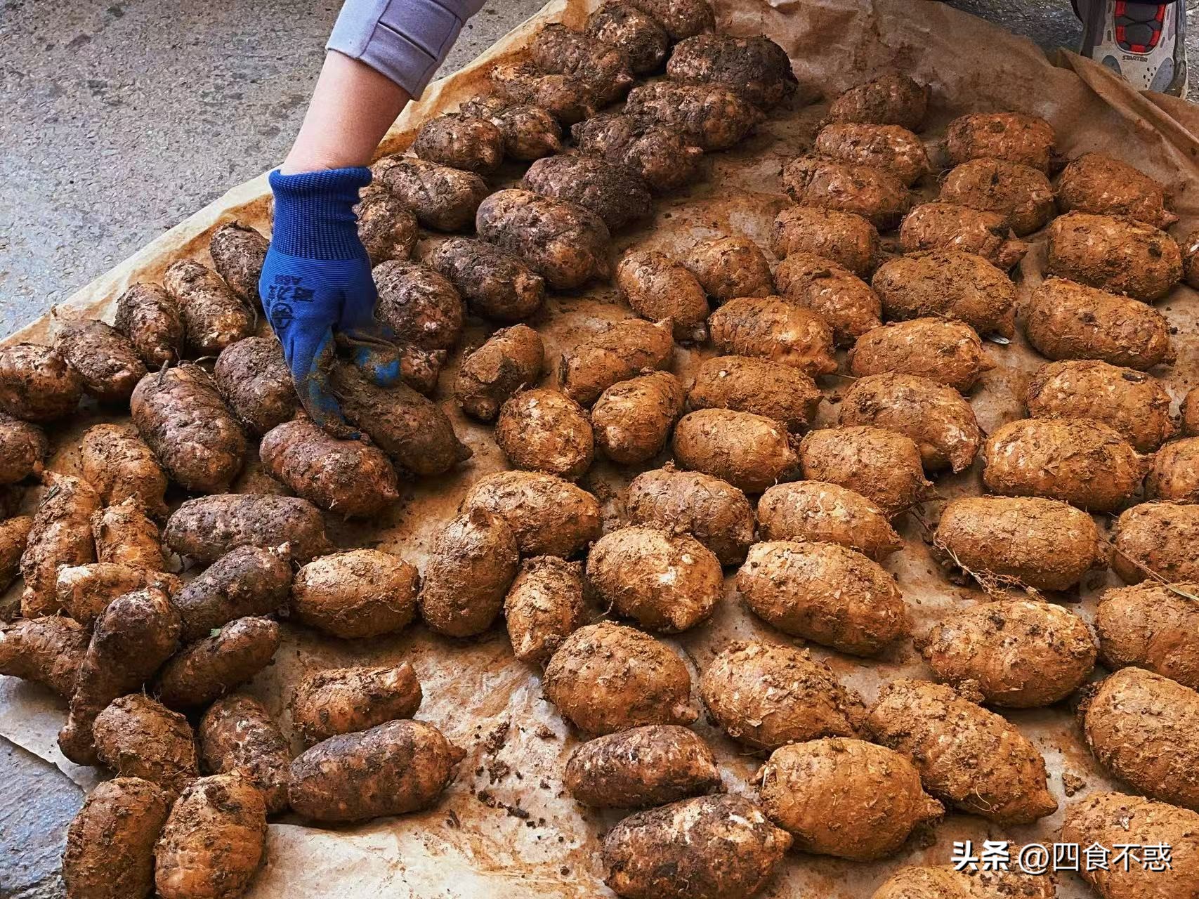 低调的昭通快藏不住了，其貌不扬的美食竟然这么好吃！(图19)