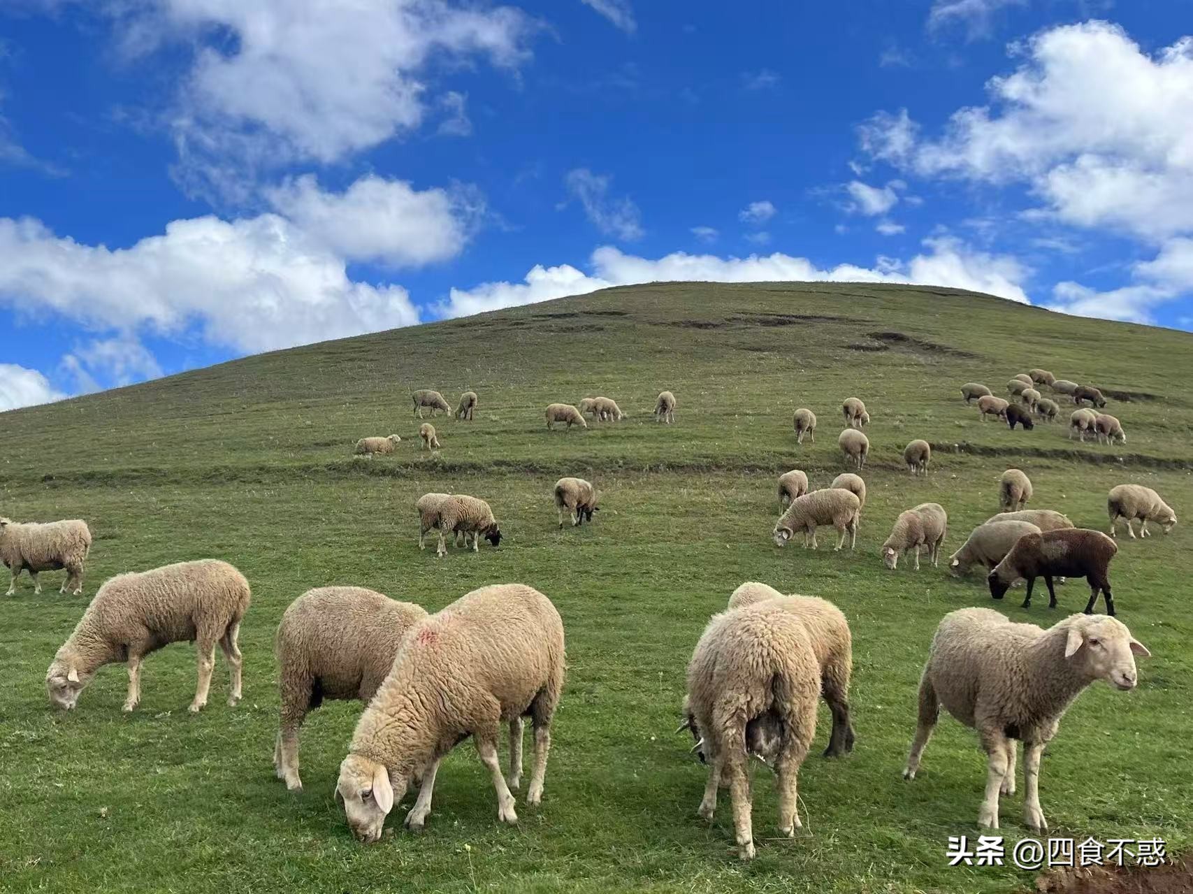低调的昭通快藏不住了，其貌不扬的美食竟然这么好吃！(图3)