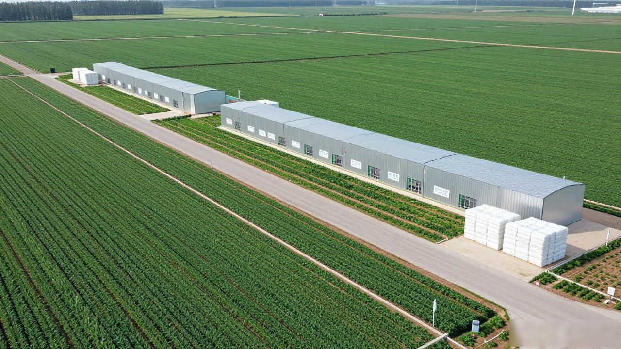 黑龙江获批7个全国绿色食品原料标准化生产基地