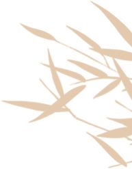 @2026级鲤工仔，超全五山校区生活攻略已就位(图5)