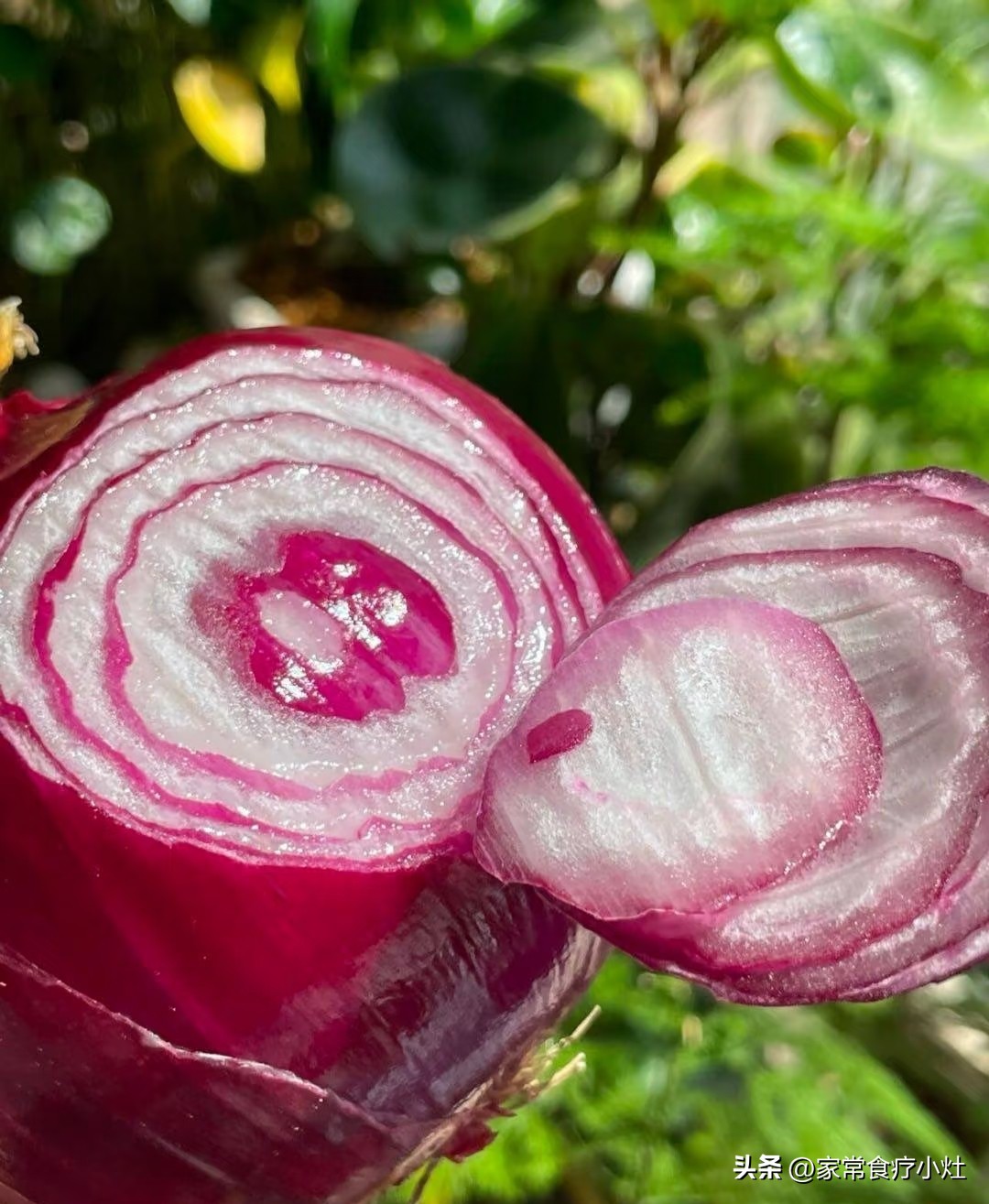 立秋后,少吃生菜丝瓜,多吃这3种“升阳菜”,补足精气神(图22)